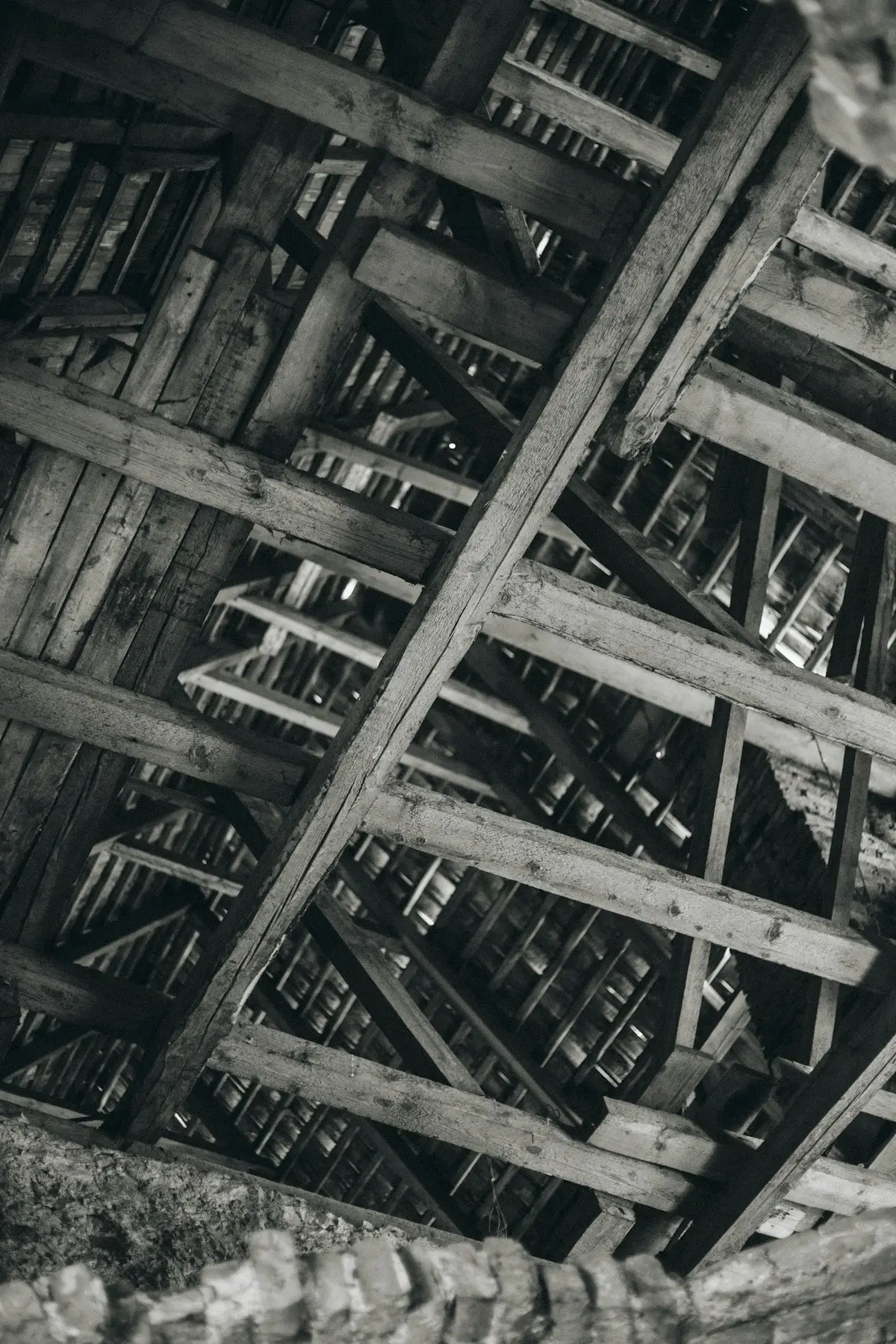 Roof timbers in a loft space, checked for termites, borer and fungal decay