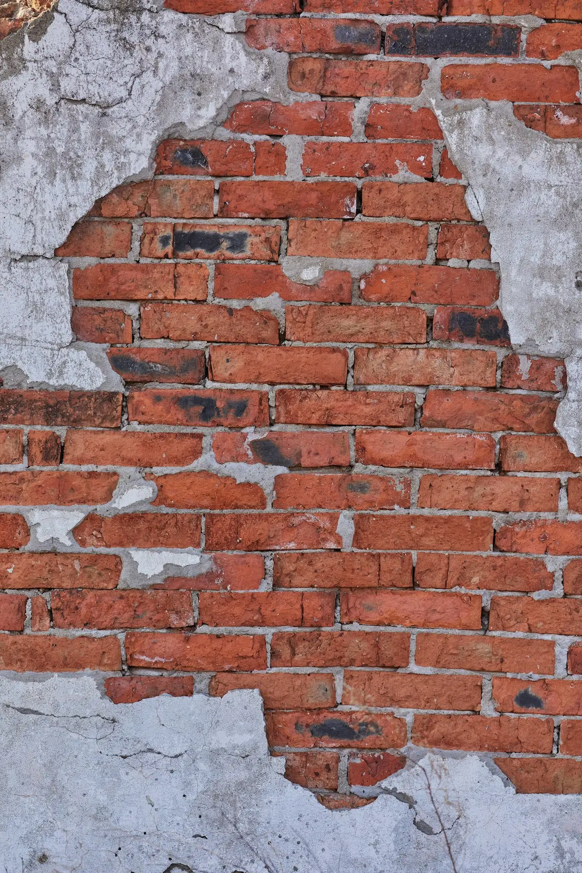 Brickwork on an external wall, checked for movement and cracking during a building inspection